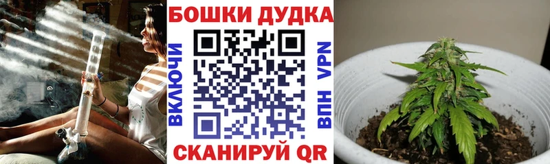 Виды наркотиков купить Чебоксары Лсд 25  APVP  Героин  Мефедрон  МАРИХУАНА 