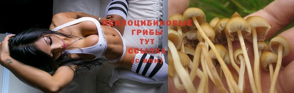 бошки Нефтегорск