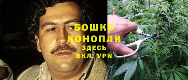 бошки Нефтегорск