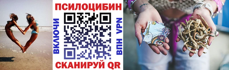 Галлюциногенные грибы Psilocybine cubensis  Чебоксары 
